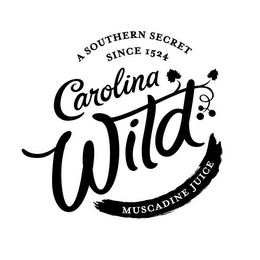 A SOUTHERN SECRET SINCE 1524 CAROLINA WILD MUSCADINE JUICE logo