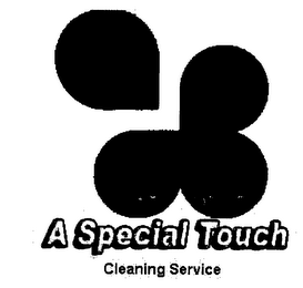 A SPECIAL TOUCH CLEANING SERVICE logo