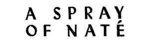 A SPRAY OF NATE logo