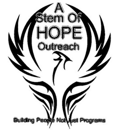 A STEM OF HOPE OUTREACH BUILDING PEOPLE NOT JUST PROGRAMS logo