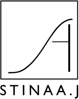 A STINAA.J logo