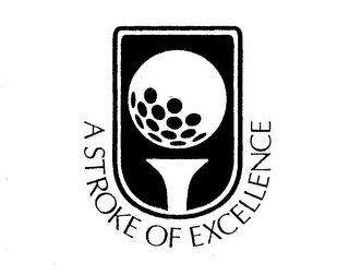A STROKE OF EXCELLENCE logo
