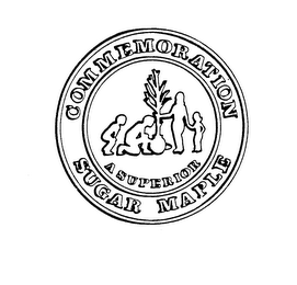 A SUPERIOR COMMEMORATION SUGAR MAPLE