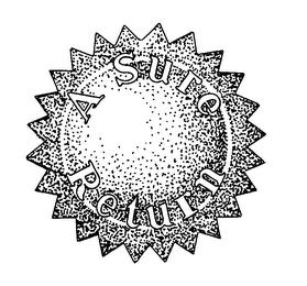 A SURE RETURN logo