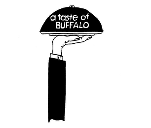 A TASTE OF BUFFALO logo