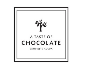 A TASTE OF CHOCOLATE EXQUISITE COCOA logo