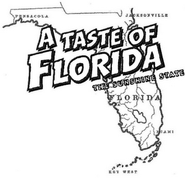 A TASTE OF FLORIDA THE SUNSHINE STATE PENSACOLA JACKSONVILLE FLORIDA MIAMI KEY WEST logo