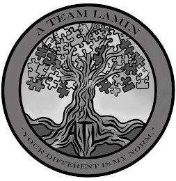 A TEAM LAMIN ATL "YOUR DIFFERENT IS MY NORM." logo