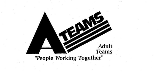 A TEAMS "PEOPLE WORKING TOGETHER" ADULT TEAMS logo