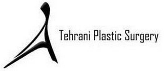 A TEHRANI PLASTIC SURGERY logo