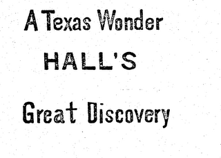 A TEXAS WONDER HALL'S GREAT DISCOVERY logo
