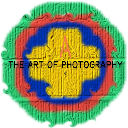 A THE ART OF PHOTOGRAPHY AB logo