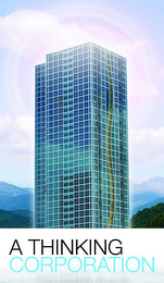 A THINKING CORPORATION logo