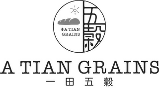 A TIAN GRAINS logo