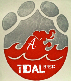 A TIDAL EFFECS logo