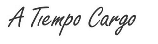 A TIEMPO CARGO