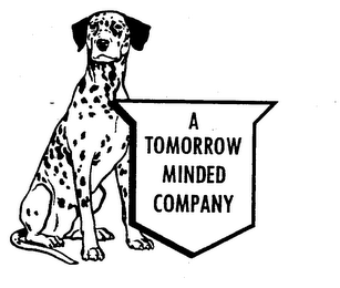 A TOMORROW MINDED COMPANY logo