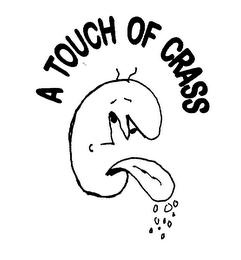 A TOUCH OF CRASS logo