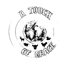 A TOUCH OF GRACE logo