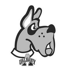 A UALBANY logo