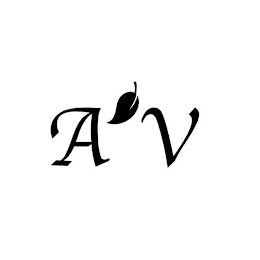 A V logo
