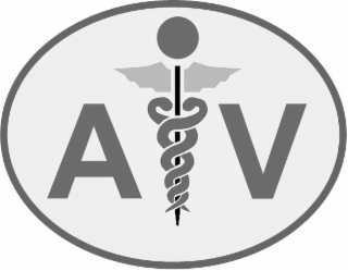 A V logo