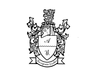A V INSIGNIA VIRTUS logo