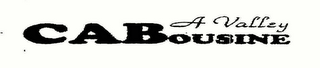 A VALLEY CABOUSINE logo