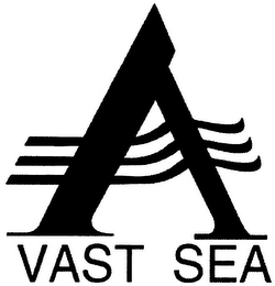 A VAST SEA logo