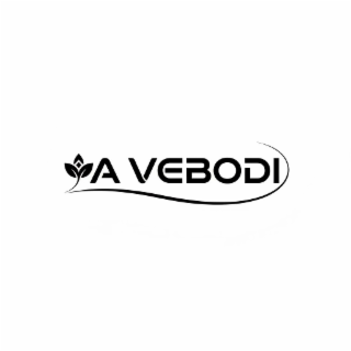 A VEBODI logo