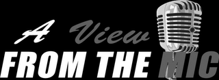 A VIEW FROM THE MIC logo