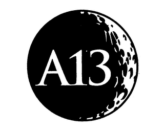 A13 logo