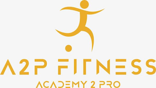 A2P FITNESS ACADEMY 2 PRO logo