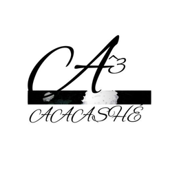 A^3 AAASHÉ logo
