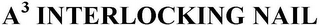 A3 INTERLOCKING NAIL logo