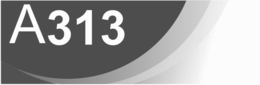 A313 logo