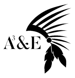 A3&E logo