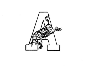 AA logo