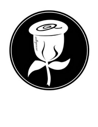 AA ADLEYANNE logo