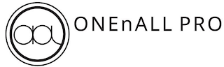 AA ONENALL PRO logo