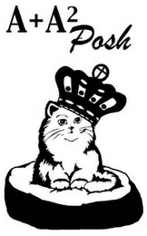 A+A2 POSH logo
