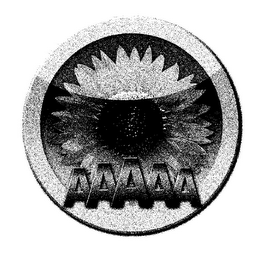 AAAAA logo