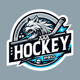 AAAHOCKEY.PRO AAA HOCKEY PRO logo