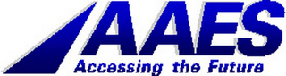 AAES ACCESSING THE FUTURE logo