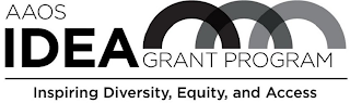 AAOS IDEA GRANT PROGRAM INSPIRING DIVERSITY, EQUITY, AND ACCESS logo