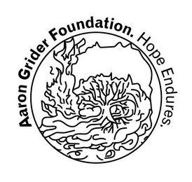 AARON GRIDER FOUNDATION. HOPE ENDURES. logo
