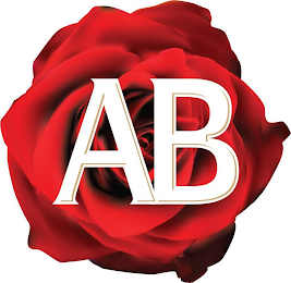 AB logo