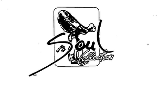 AB SOUL COLLECTION logo