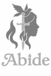 ABIDE logo