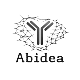 ABIDEA